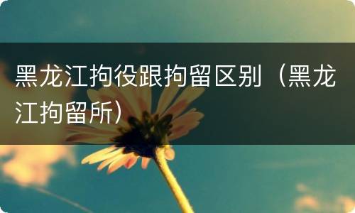 黑龙江拘役跟拘留区别（黑龙江拘留所）