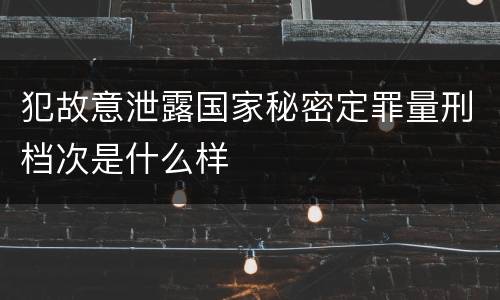 犯故意泄露国家秘密定罪量刑档次是什么样