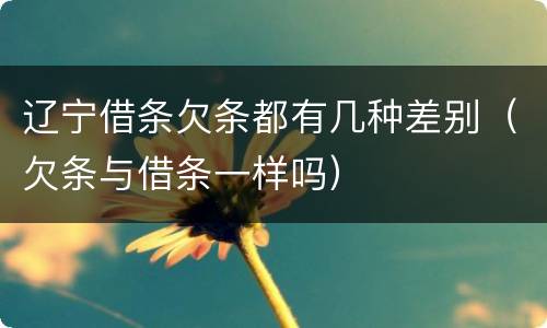辽宁借条欠条都有几种差别（欠条与借条一样吗）