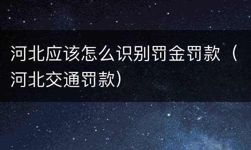 河北应该怎么识别罚金罚款（河北交通罚款）