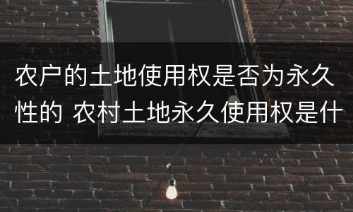 农户的土地使用权是否为永久性的 农村土地永久使用权是什么意思