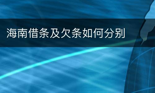 海南借条及欠条如何分别