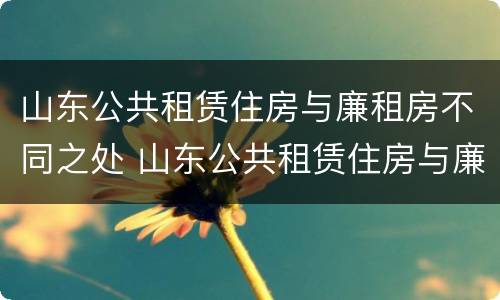 山东公共租赁住房与廉租房不同之处 山东公共租赁住房与廉租房不同之处有哪些