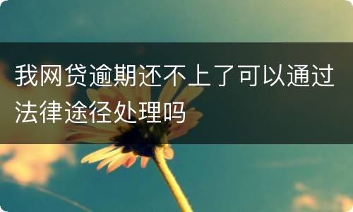 我网贷逾期还不上了可以通过法律途径处理吗