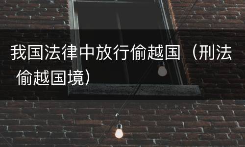 我国法律中放行偷越国（刑法 偷越国境）