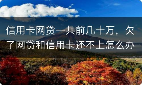 信用卡网贷一共前几十万,欠了网贷和信用卡还不上怎么办