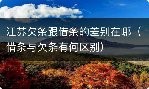 江苏欠条跟借条的差别在哪（借条与欠条有何区别）