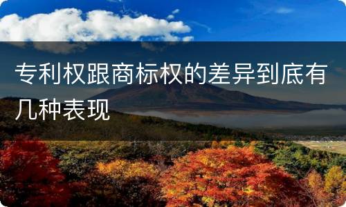 专利权跟商标权的差异到底有几种表现