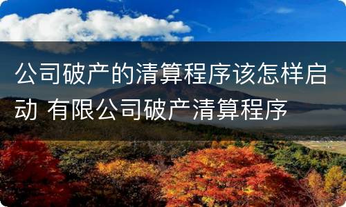 公司破产的清算程序该怎样启动 有限公司破产清算程序