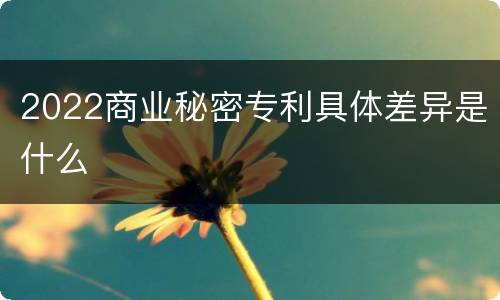 2022商业秘密专利具体差异是什么