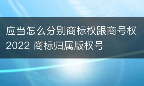 应当怎么分别商标权跟商号权2022 商标归属版权号