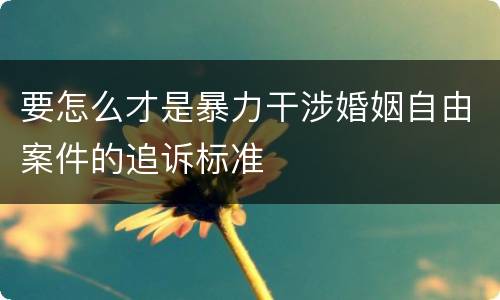 要怎么才是暴力干涉婚姻自由案件的追诉标准