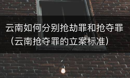 云南如何分别抢劫罪和抢夺罪（云南抢夺罪的立案标准）