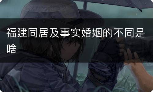 福建同居及事实婚姻的不同是啥