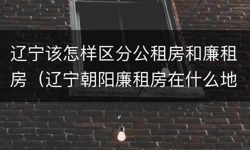 辽宁该怎样区分公租房和廉租房（辽宁朝阳廉租房在什么地方）