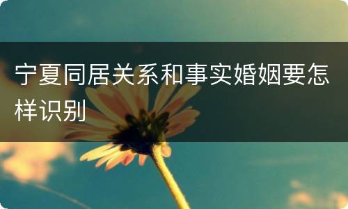 宁夏同居关系和事实婚姻要怎样识别