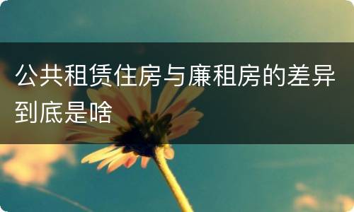 公共租赁住房与廉租房的差异到底是啥
