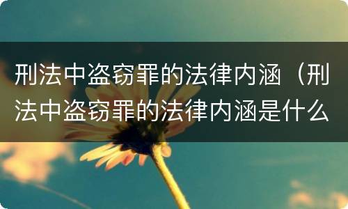 刑法中盗窃罪的法律内涵（刑法中盗窃罪的法律内涵是什么）