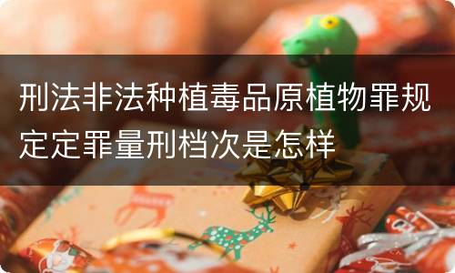 刑法非法种植毒品原植物罪规定定罪量刑档次是怎样
