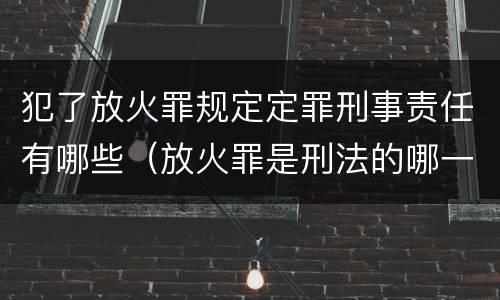 犯了放火罪规定定罪刑事责任有哪些（放火罪是刑法的哪一条）