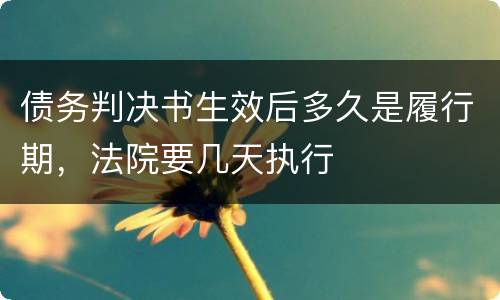 债务判决书生效后多久是履行期，法院要几天执行
