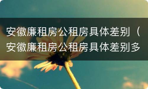安徽廉租房公租房具体差别（安徽廉租房公租房具体差别多少）