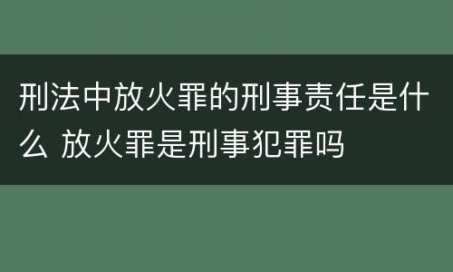刑法中放火罪的刑事责任是什么 放火罪是刑事犯罪吗