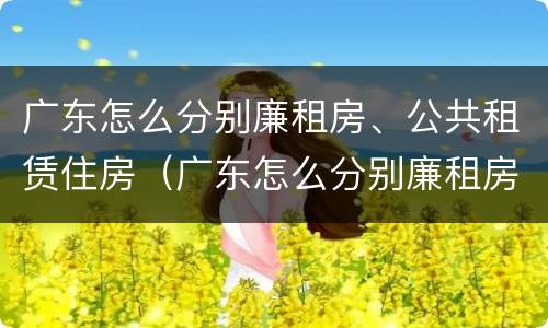 广东怎么分别廉租房、公共租赁住房（广东怎么分别廉租房,公共租赁住房和商品房）
