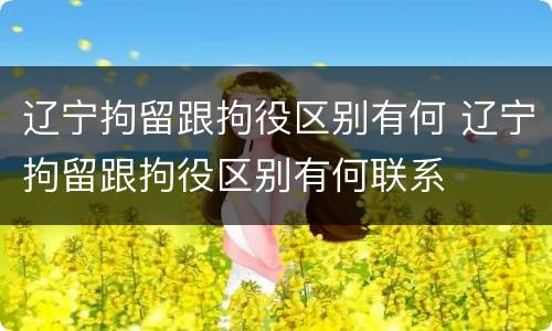 辽宁拘留跟拘役区别有何 辽宁拘留跟拘役区别有何联系