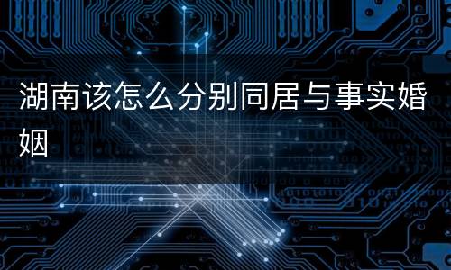湖南该怎么分别同居与事实婚姻