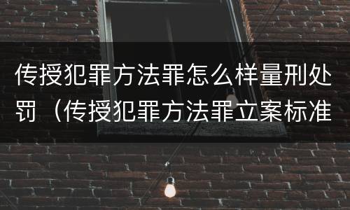 传授犯罪方法罪怎么样量刑处罚（传授犯罪方法罪立案标准）