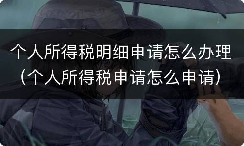 个人所得税明细申请怎么办理（个人所得税申请怎么申请）