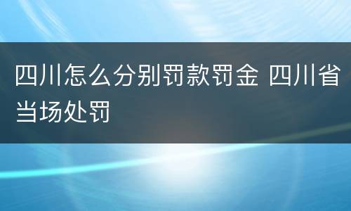 四川怎么分别罚款罚金 四川省当场处罚
