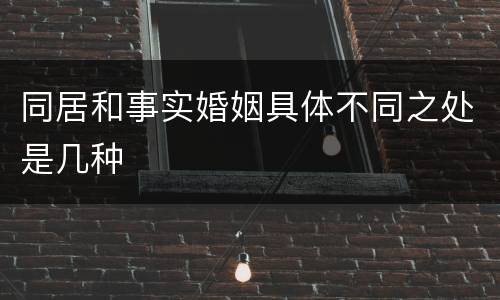 同居和事实婚姻具体不同之处是几种