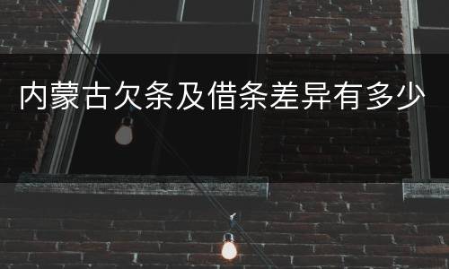 内蒙古欠条及借条差异有多少
