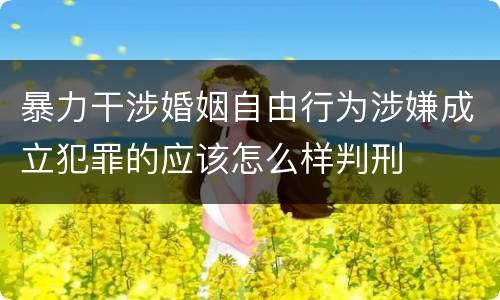 暴力干涉婚姻自由行为涉嫌成立犯罪的应该怎么样判刑