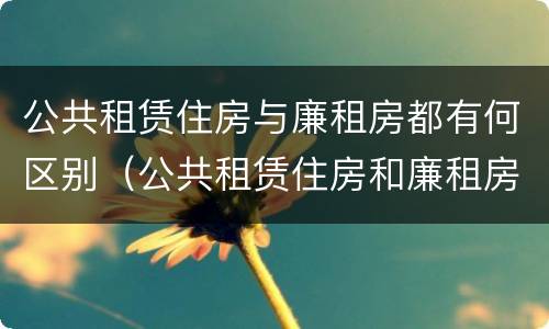 公共租赁住房与廉租房都有何区别（公共租赁住房和廉租房的区别）