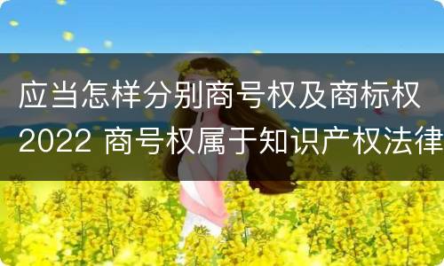 应当怎样分别商号权及商标权2022 商号权属于知识产权法律制度的是