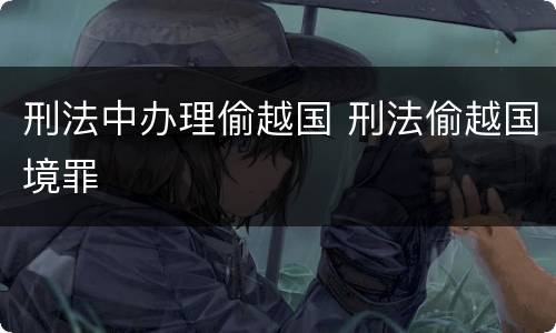 刑法中办理偷越国 刑法偷越国境罪