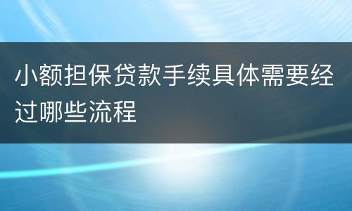 小额担保贷款手续具体需要经过哪些流程