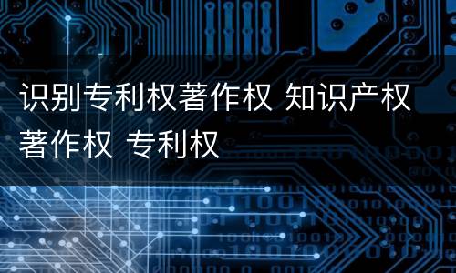 识别专利权著作权 知识产权 著作权 专利权