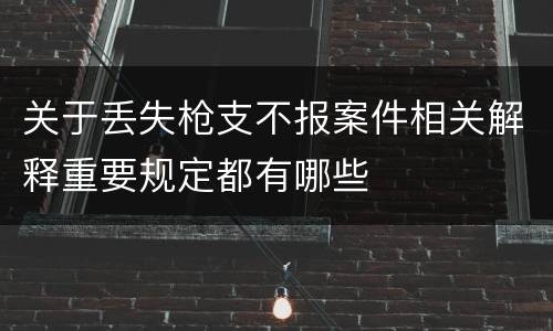 关于丢失枪支不报案件相关解释重要规定都有哪些