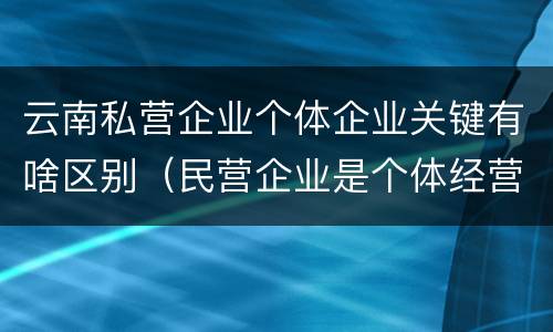 云南私营企业个体企业关键有啥区别（民营企业是个体经营吗）