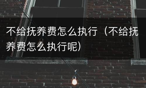 不给抚养费怎么执行（不给抚养费怎么执行呢）
