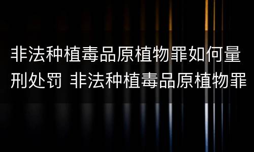 非法种植毒品原植物罪如何量刑处罚 非法种植毒品原植物罪如何量刑处罚