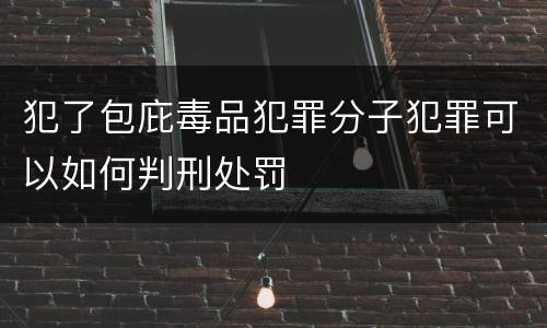 犯了包庇毒品犯罪分子犯罪可以如何判刑处罚
