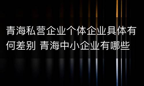 青海私营企业个体企业具体有何差别 青海中小企业有哪些