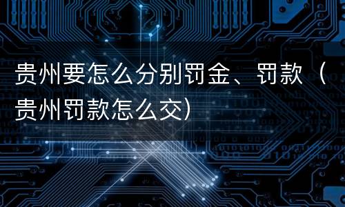 贵州要怎么分别罚金、罚款（贵州罚款怎么交）