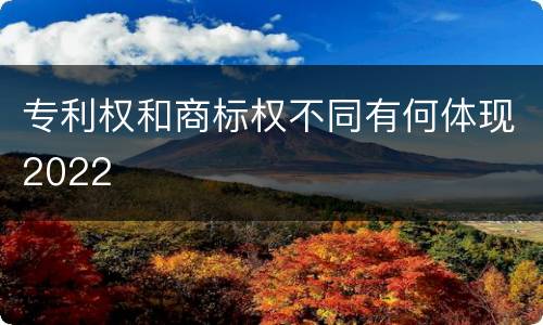 专利权和商标权不同有何体现2022