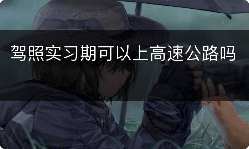驾照实习期可以上高速公路吗